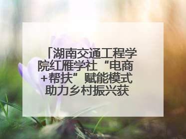 湖南交通工程学院红雁学社“电商+帮扶”赋能模式 助力乡村振兴获帮扶乡镇好评