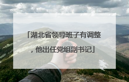 湖北省领导班子有调整，他出任党组副书记