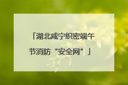 湖北咸宁织密端午节消防“安全网”