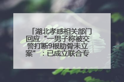 湖北孝感相关部门回应“一男子称被交警打断9根肋骨未立案”：已成立联合专班开展工作
