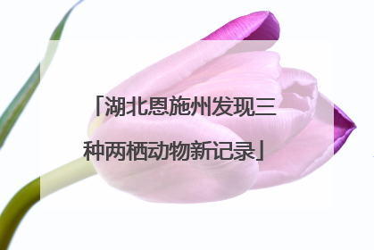 湖北恩施州发现三种两栖动物新记录