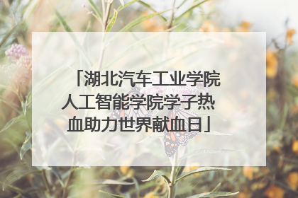 湖北汽车工业学院人工智能学院学子热血助力世界献血日
