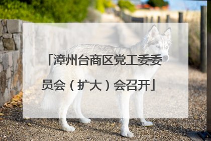 漳州台商区党工委委员会（扩大）会召开