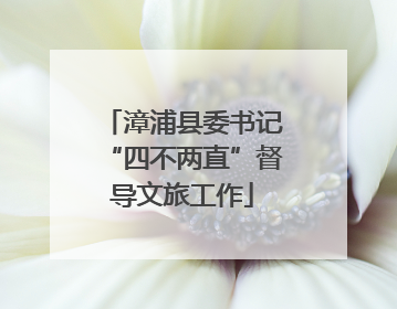 漳浦县委书记“四不两直”督导文旅工作