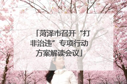 菏泽市召开“打非治违”专项行动方案解读会议