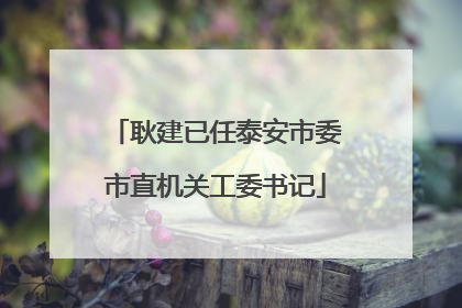 耿建已任泰安市委市直机关工委书记