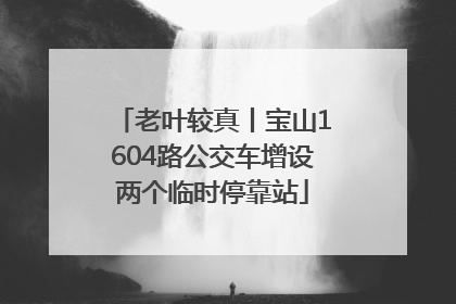 老叶较真丨宝山1604路公交车增设两个临时停靠站