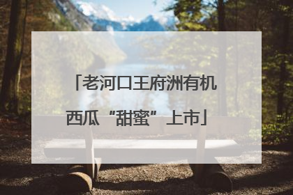 老河口王府洲有机西瓜“甜蜜”上市