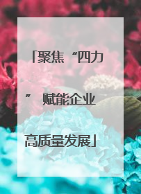 聚焦“四力” 赋能企业高质量发展