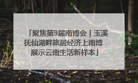 聚焦第9届南博会｜玉溪抚仙湖畔旅居经济上南博 展示云南生活新样本