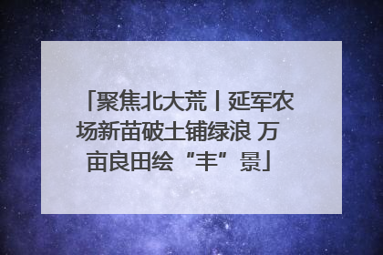聚焦北大荒丨延军农场新苗破土铺绿浪 万亩良田绘“丰”景