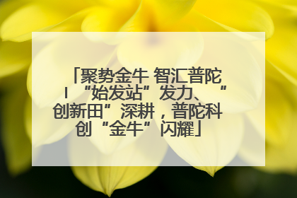 聚势金牛 智汇普陀〡“始发站”发力、“创新田”深耕，普陀科创“金牛”闪耀