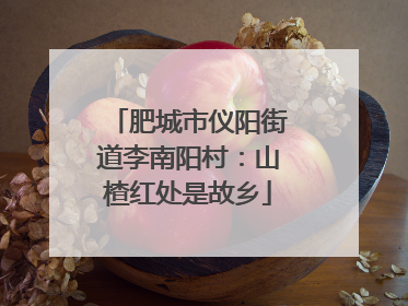 肥城市仪阳街道李南阳村：山楂红处是故乡