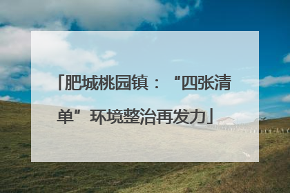 肥城桃园镇：“四张清单”环境整治再发力