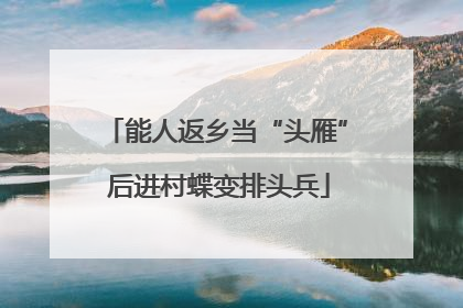 能人返乡当“头雁” 后进村蝶变排头兵