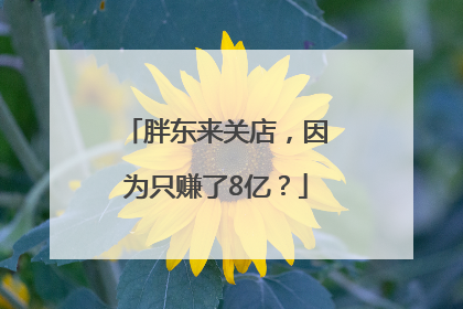 胖东来关店，因为只赚了8亿？