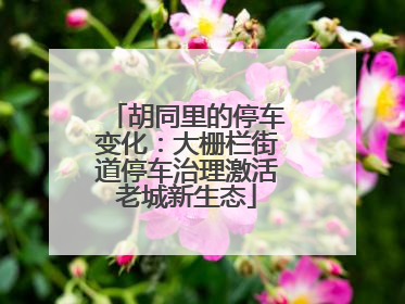 胡同里的停车变化：大栅栏街道停车治理激活老城新生态