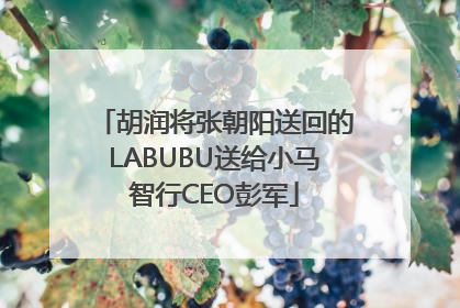 胡润将张朝阳送回的LABUBU送给小马智行CEO彭军