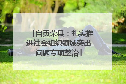 自贡荣县：扎实推进社会组织领域突出问题专项整治