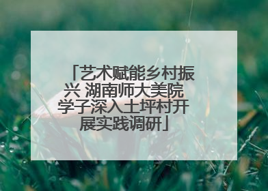 艺术赋能乡村振兴 湖南师大美院学子深入土坪村开展实践调研