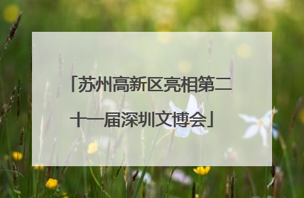 苏州高新区亮相第二十一届深圳文博会
