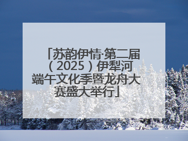 苏韵伊情·第二届（2025）伊犁河端午文化季暨龙舟大赛盛大举行