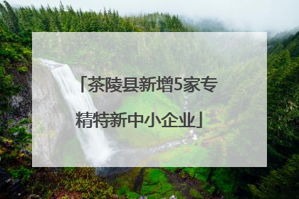 茶陵县新增5家专精特新中小企业