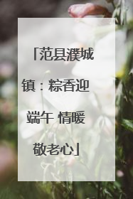 范县濮城镇：粽香迎端午 情暖敬老心