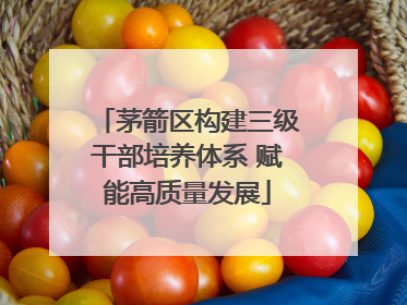 茅箭区构建三级干部培养体系 赋能高质量发展
