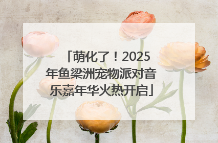 萌化了！2025年鱼梁洲宠物派对音乐嘉年华火热开启
