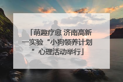 萌趣疗愈 济南高新一实验“小狗领养计划”心理活动举行