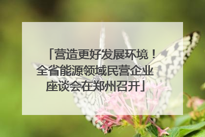 营造更好发展环境！全省能源领域民营企业座谈会在郑州召开