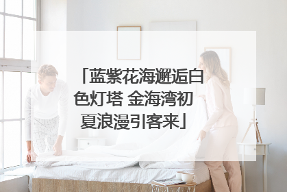 蓝紫花海邂逅白色灯塔 金海湾初夏浪漫引客来