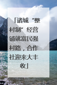 诸城“整村制”经营铺就富民强村路，合作社迎来大丰收