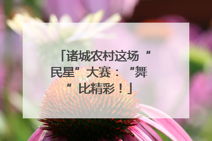 诸城农村这场“民星”大赛：“舞”比精彩！