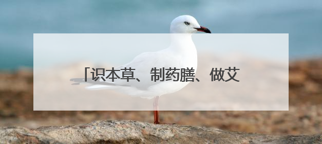 识本草、制药膳、做艾条 南山植物园里开启了一场中医药文化盛宴