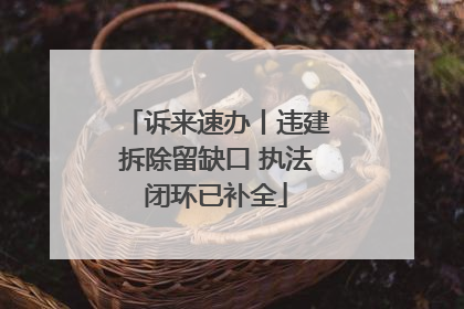 诉来速办丨违建拆除留缺口 执法闭环已补全