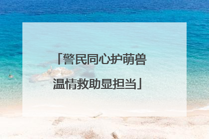 警民同心护萌兽 温情救助显担当