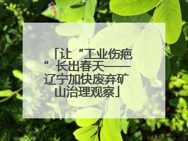 让“工业伤疤”长出春天——辽宁加快废弃矿山治理观察
