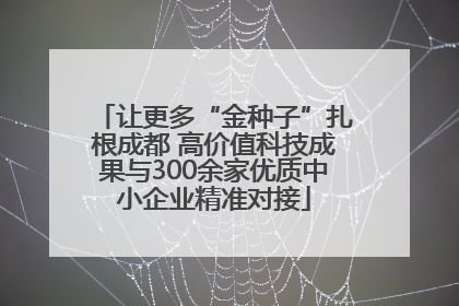 让更多“金种子”扎根成都 高价值科技成果与300余家优质中小企业精准对接
