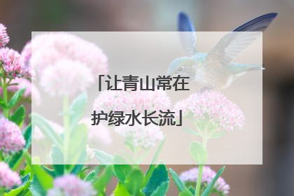 让青山常在 护绿水长流