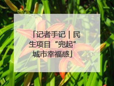 记者手记｜民生项目“兜起”城市幸福感