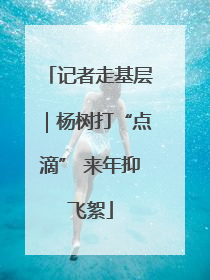 记者走基层｜杨树打“点滴” 来年抑飞絮