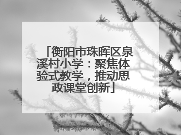衡阳市珠晖区泉溪村小学：聚焦体验式教学，推动思政课堂创新