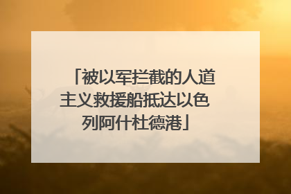 被以军拦截的人道主义救援船抵达以色列阿什杜德港