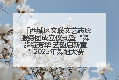 西城区文联文艺志愿服务团成立仪式暨“舞步绽芳华·艺韵启新章”2025年舞蹈大赛展演圆满举办