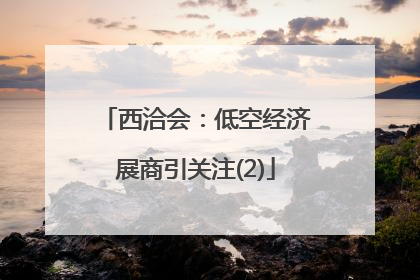 西洽会：低空经济展商引关注(2)