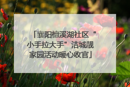 襄阳檀溪湖社区“小手拉大手”洁城靓家园活动暖心收官