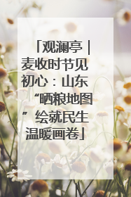 观澜亭｜麦收时节见初心：山东“晒粮地图”绘就民生温暖画卷