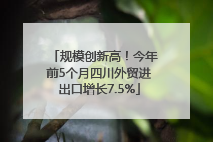 规模创新高！今年前5个月四川外贸进出口增长7.5%